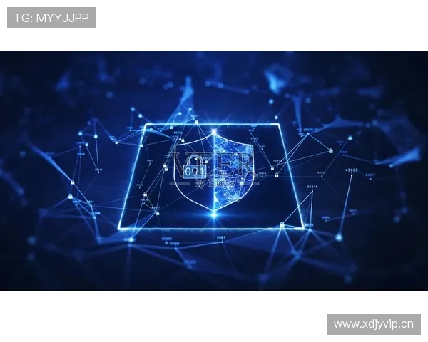 尊龙会官网会员登录安全保障措施，保障会员信息安全与隐私保护