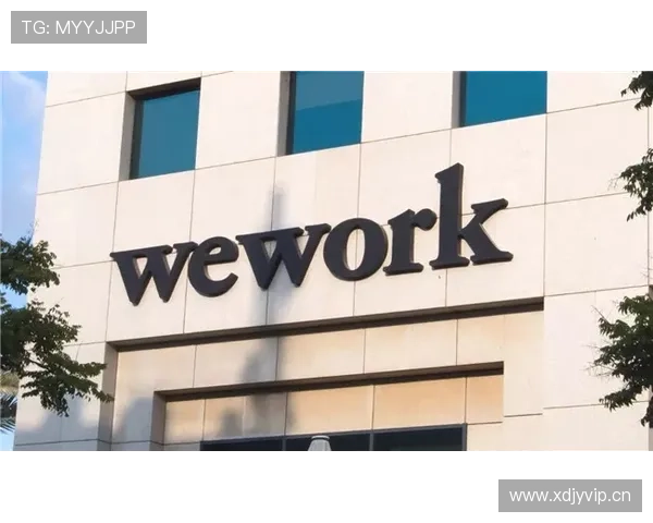 星城we旗舰网站最新活动与优惠信息一览