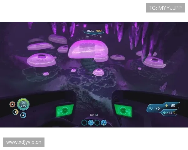 爱游戏平台带你畅享极致游戏体验，开启属于你的游戏新世界