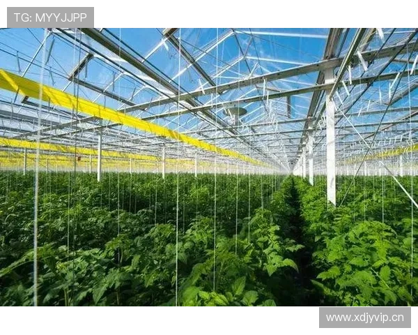 正大国际推动绿色农业发展的政策支持与实际行动总结 正大国际推动绿色农业发展的政策支持与实际行动总结