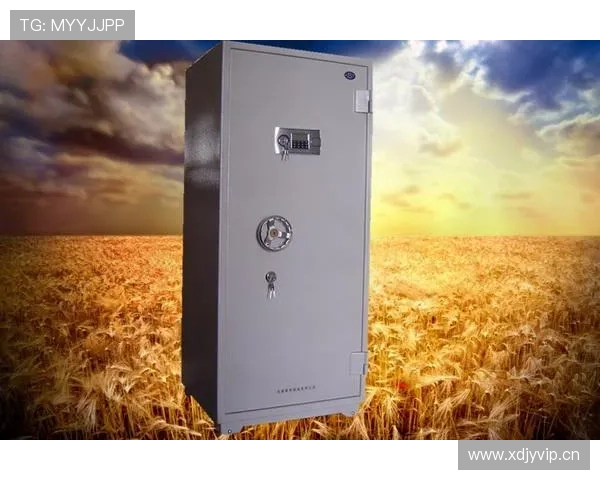 凯发K8线上开户安全指南确保您的账户信息安全无忧 凯发K8线上开户安全指南确保您的账户信息安全无忧