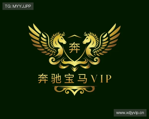解读奔驰宝马VIP